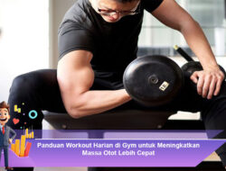 Panduan Workout Harian di Gym untuk Meningkatkan Massa Otot Lebih Cepat