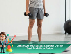 Latihan Gym Untuk Menjaga Kesehatan Otot Dan Sendi Tubuh Harian Optimal